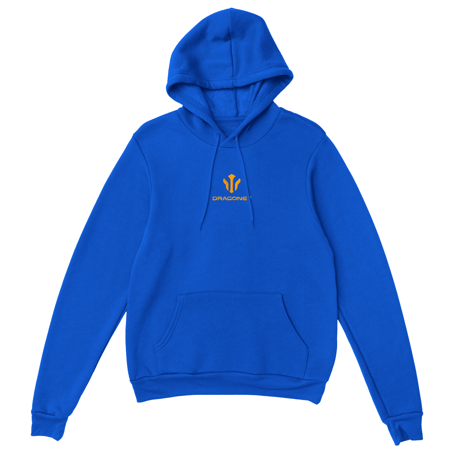 Blue Hoodie 2024